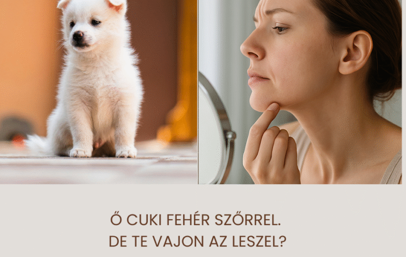 Miért nem működik a dióda lézeres szőrtelenítés ősz szőr esetén? 59 1 1