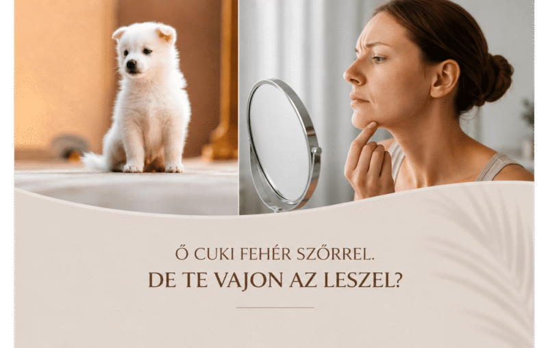 osz szor es a dioda lezeres szortelenites